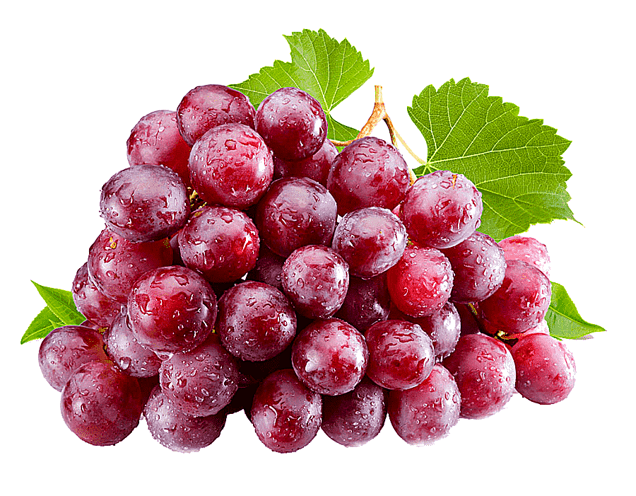 png clipart grapes juice isabella common grape vine table grape grape pattern natural food
