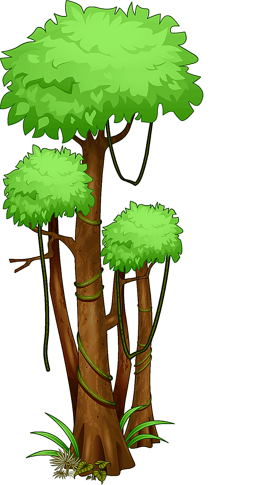 png clipart green and brown trees tree amazon rainforest jungle tropical rainforest jungle