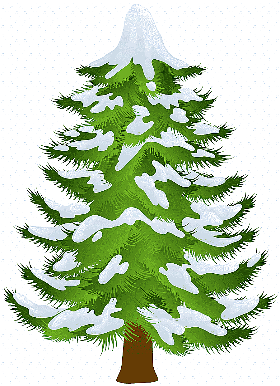 png clipart green christmas tree pine tree winter winter pine tree leaf decor