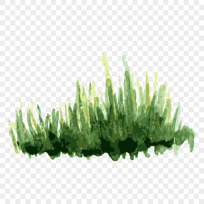 png clipart green grass illustration tree plant tree trees watercolor painting tree branch