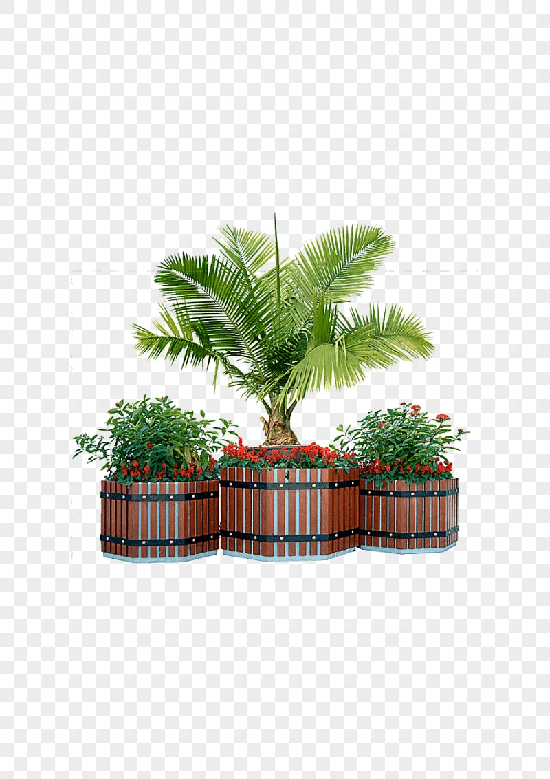 png clipart green leafed plants plant tree window box shrub potted trees trees leaf tree b