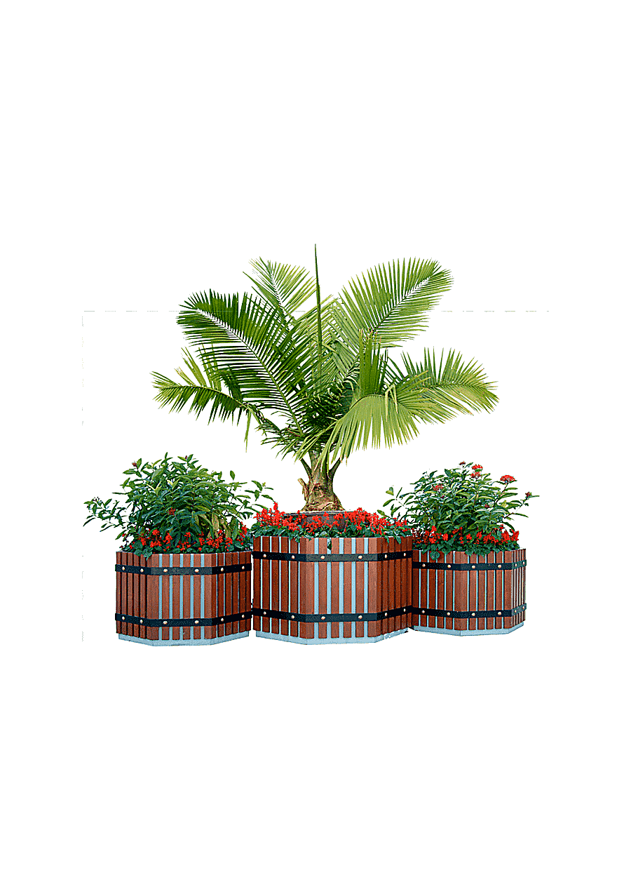 png clipart green leafed plants plant tree window box shrub potted trees trees leaf tree b