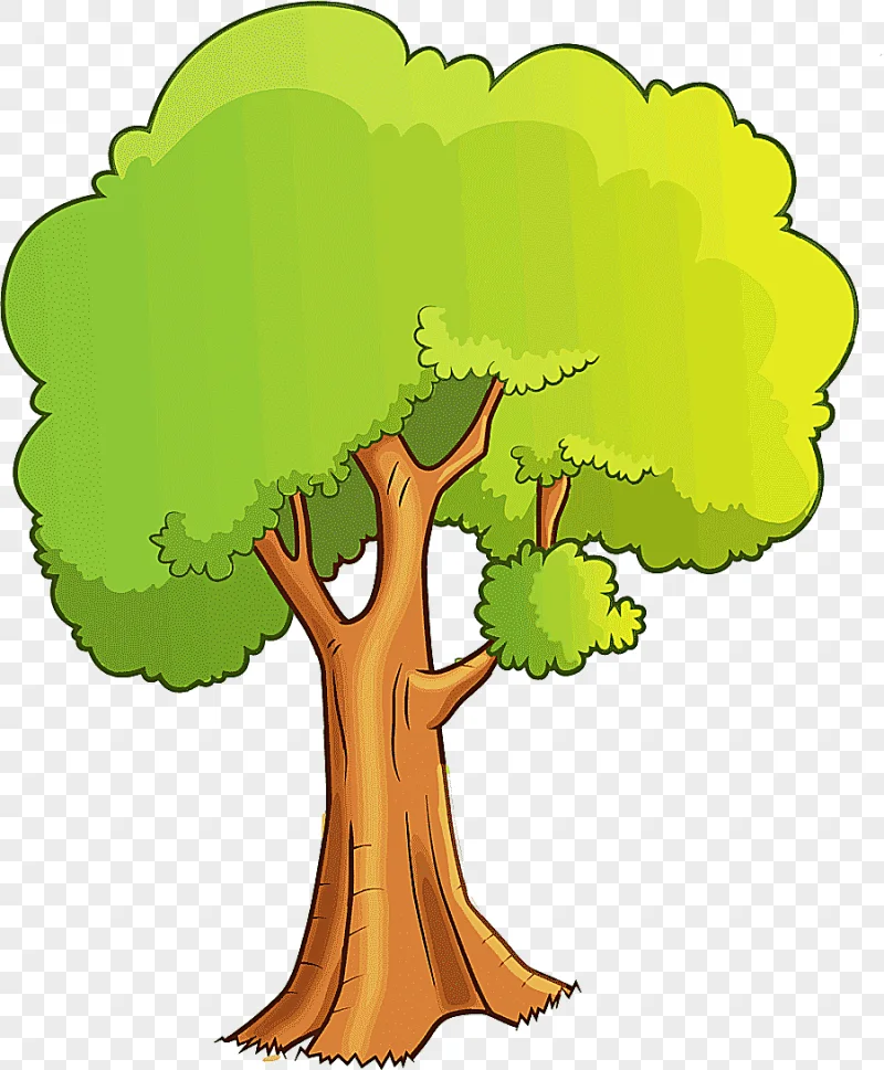 png clipart green leafed tree illustration tree cartoon drawing cartoon tree leaf grass