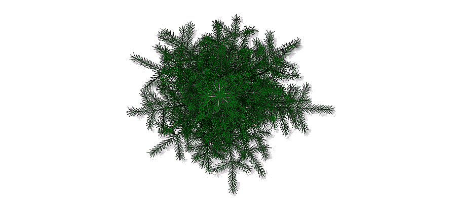 png clipart green pine tree leaves cut out tree pine tree leaf branch