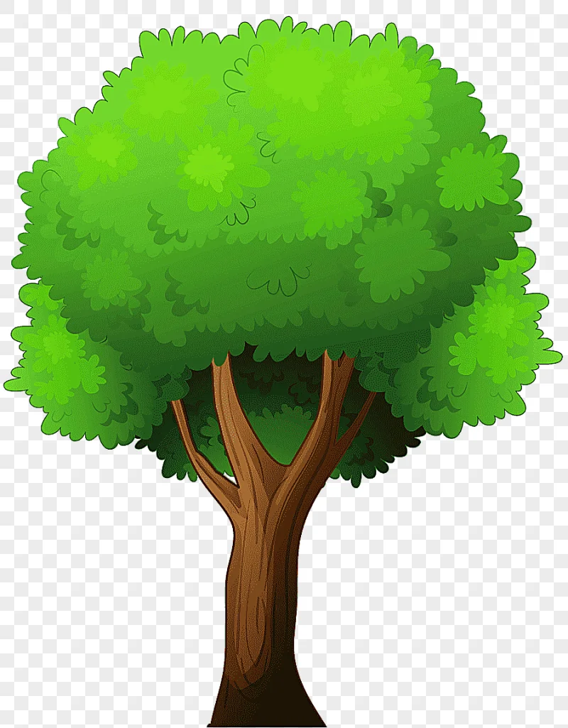 png clipart green tree art tree hackus tree leaf plant stem