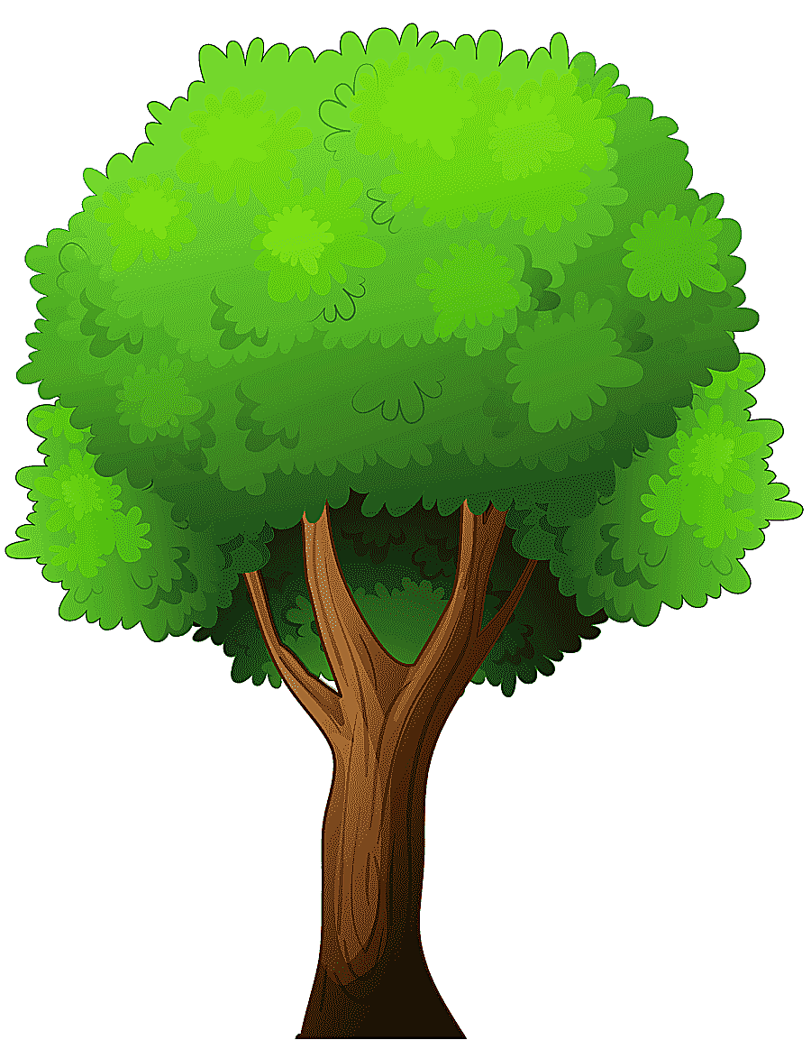 png clipart green tree art tree hackus tree leaf plant stem