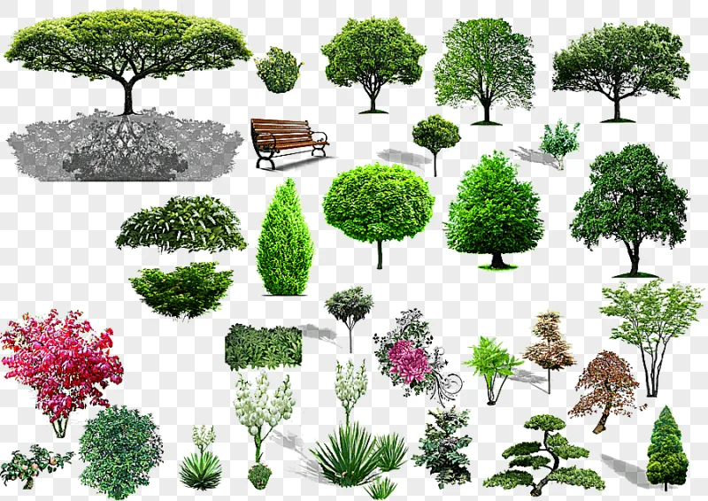 png clipart green tree collage tree shrub landscape plant material purple landscape