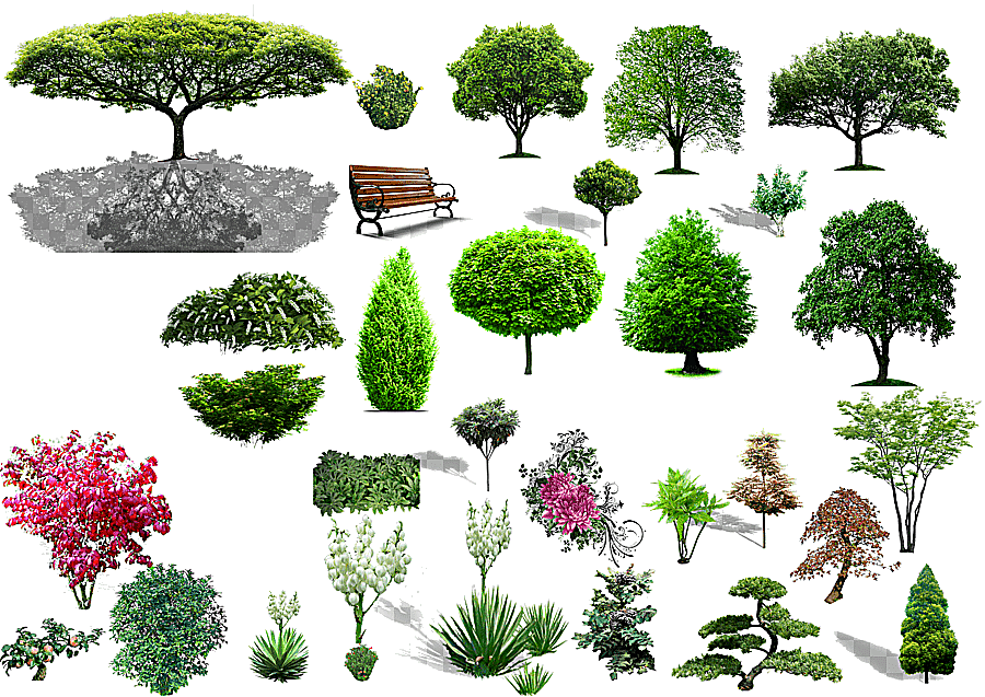 png clipart green tree collage tree shrub landscape plant material purple landscape
