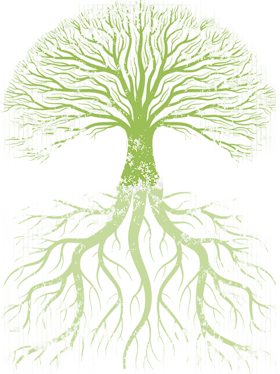 png clipart green tree family tree root tree of life root leaf vegetable leaf