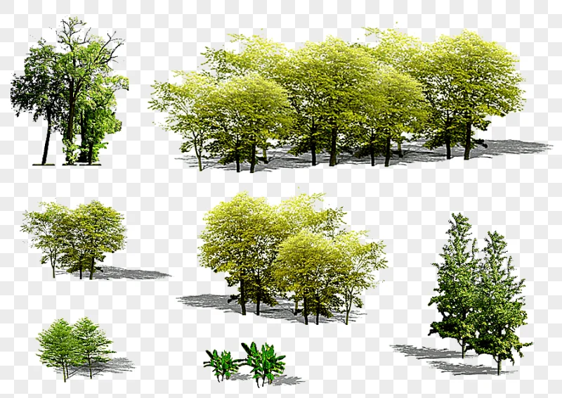 png clipart green trees collage tree euclidean plant green trees leaf landscape