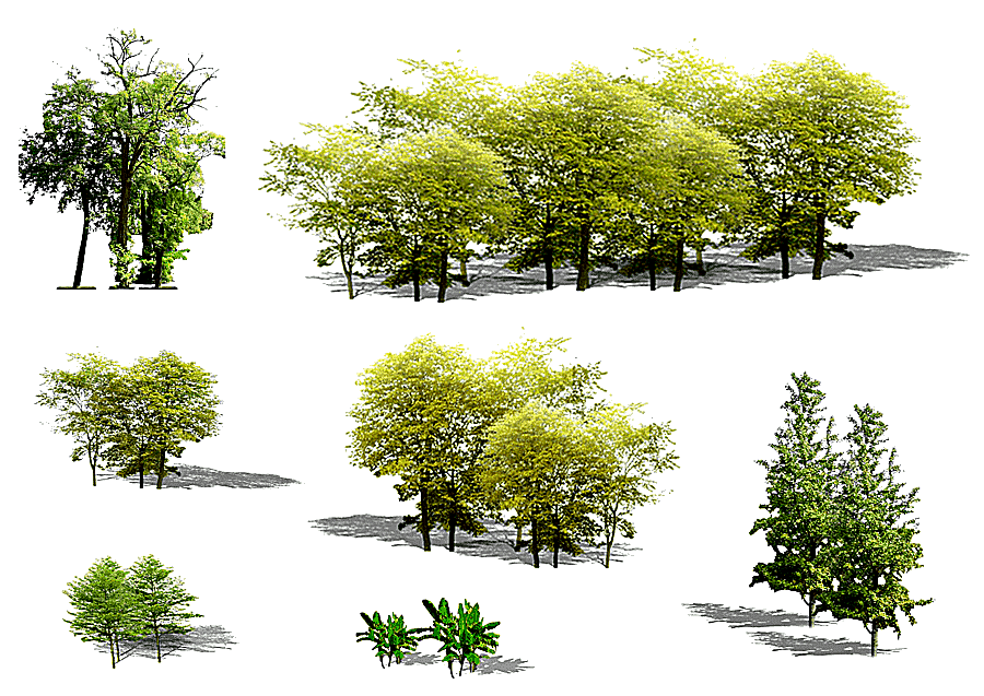 png clipart green trees collage tree euclidean plant green trees leaf landscape