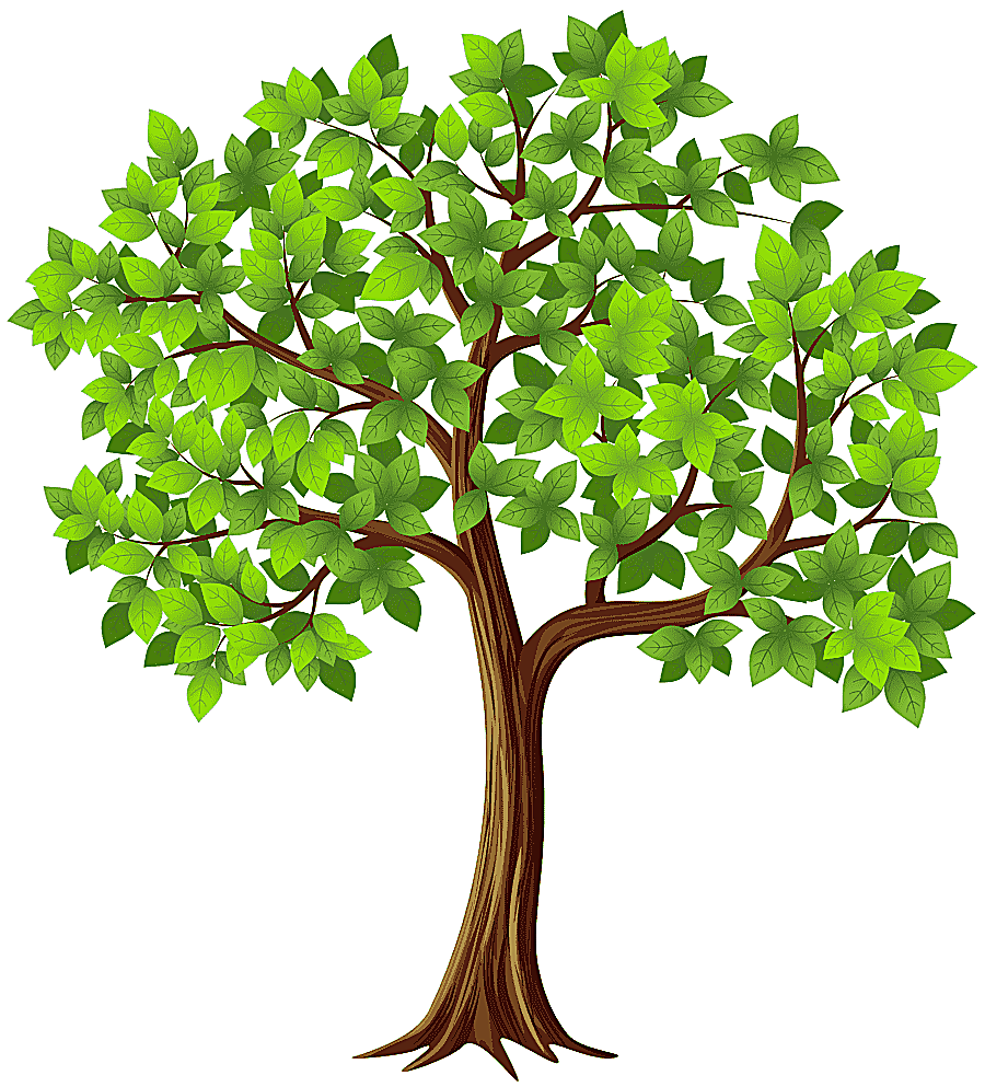 png clipart green trees illustration tree tree leaf branch