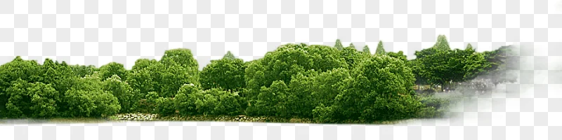 png clipart green trees landscape tree mountains landscape grass