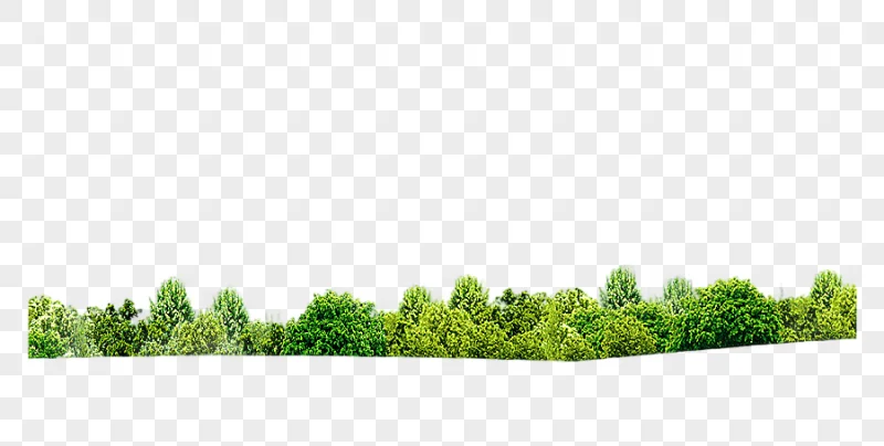 png clipart green trees on grass field shrub tree green grass angle landscape