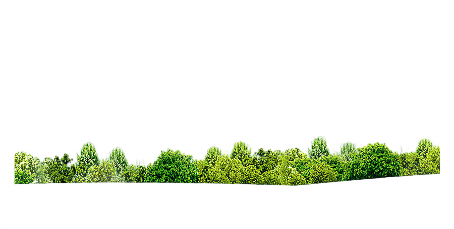 png clipart green trees on grass field shrub tree green grass angle landscape