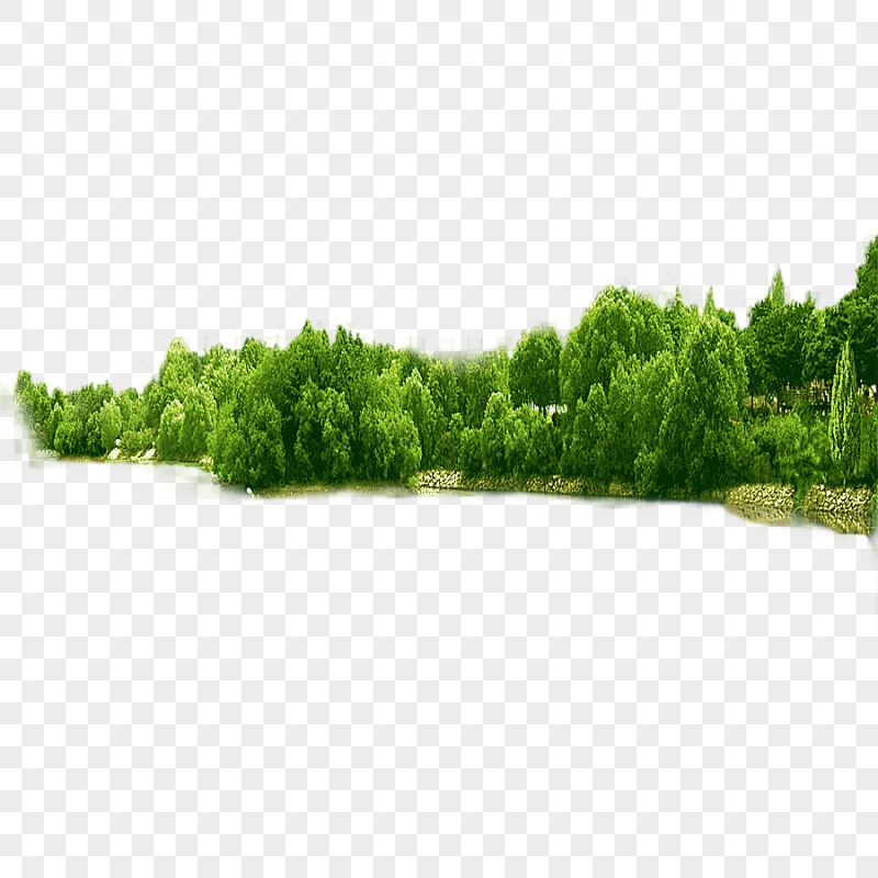 png clipart green trees tree forest forest angle rectangle
