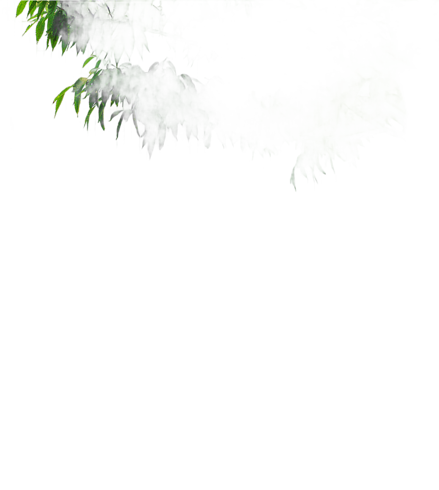 png clipart hd trees hd trees