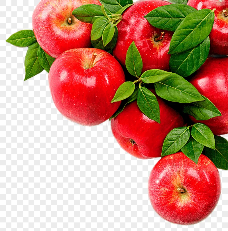 png clipart juice apple fruit auglis apple natural foods food