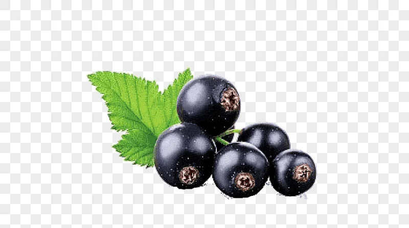 png clipart juice blackcurrant fruit graphy juice natural foods food