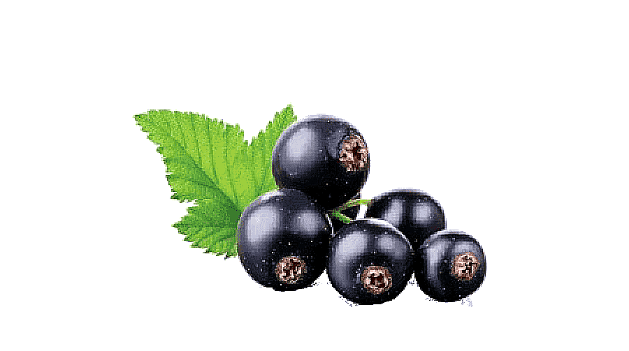 png clipart juice blackcurrant fruit graphy juice natural foods food