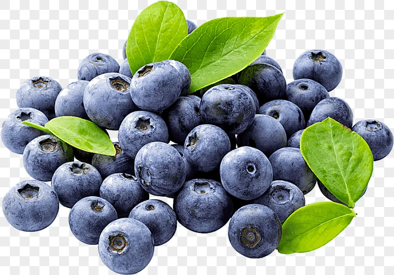 png clipart juice blueberry fruit blueberries natural foods food