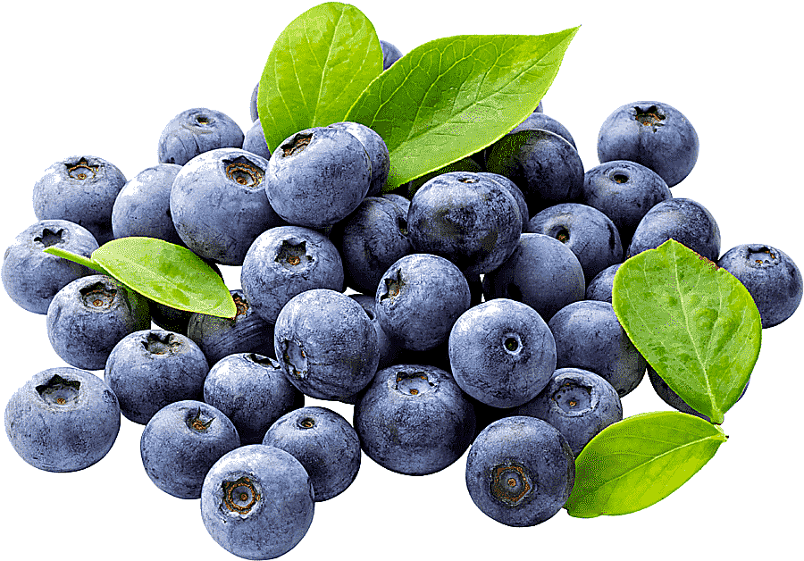 png clipart juice blueberry fruit blueberries natural foods food