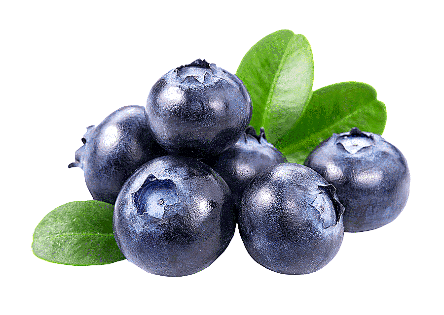 png clipart juice blueberry tea organic food juice natural foods food