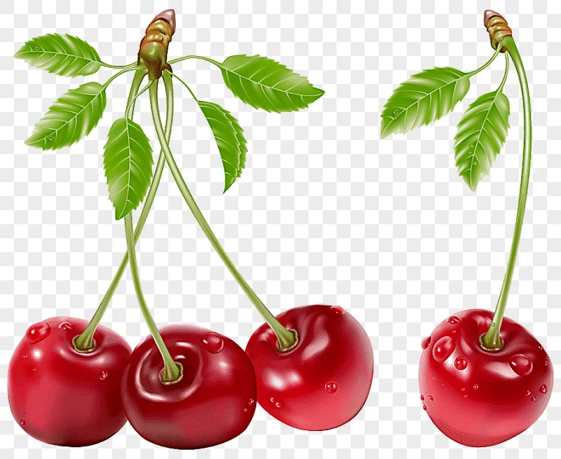 png clipart juice cherry fruit berry cherries natural foods frutti di bosco