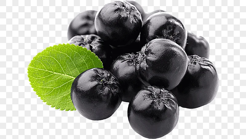 png clipart juice chokeberry concentrate organic food juice natural foods frutti di bosco