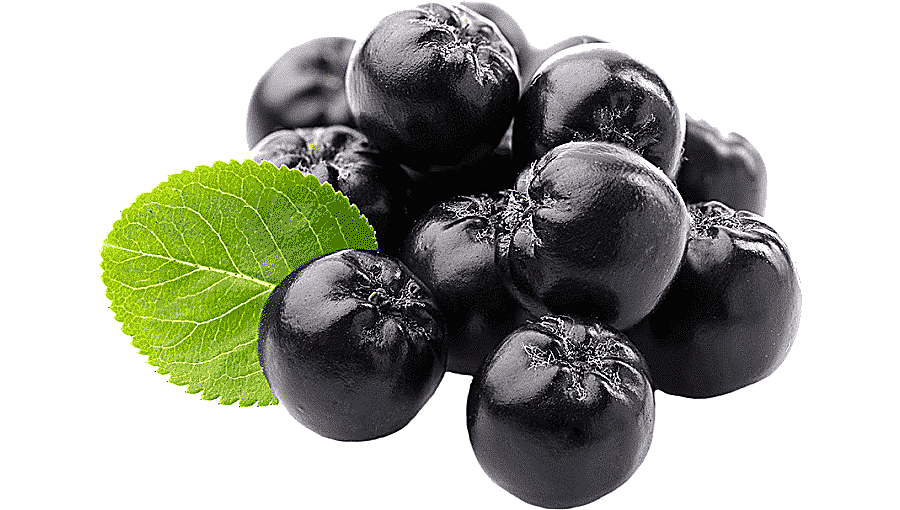 png clipart juice chokeberry concentrate organic food juice natural foods frutti di bosco