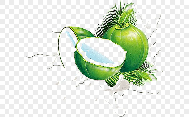 png clipart juice coconut milk fruit coconut material png material white