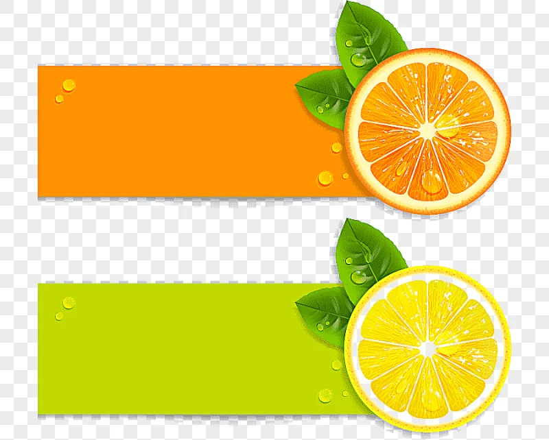 png clipart juice lemon illustration fresh lemon orange fruit material food orange