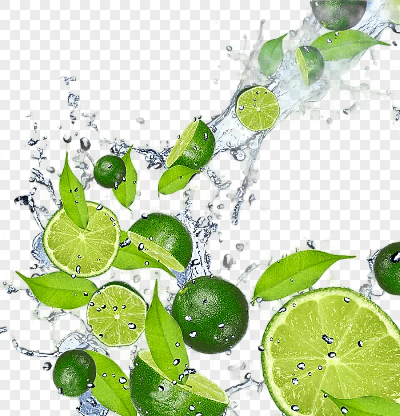 png clipart juice lemonade lime iced tea lemon drinks wine ads sliced lime wine glass food