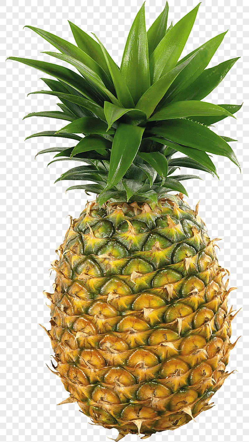 png clipart juice smoothie milkshake pineapple graphy juice food tropical fruit