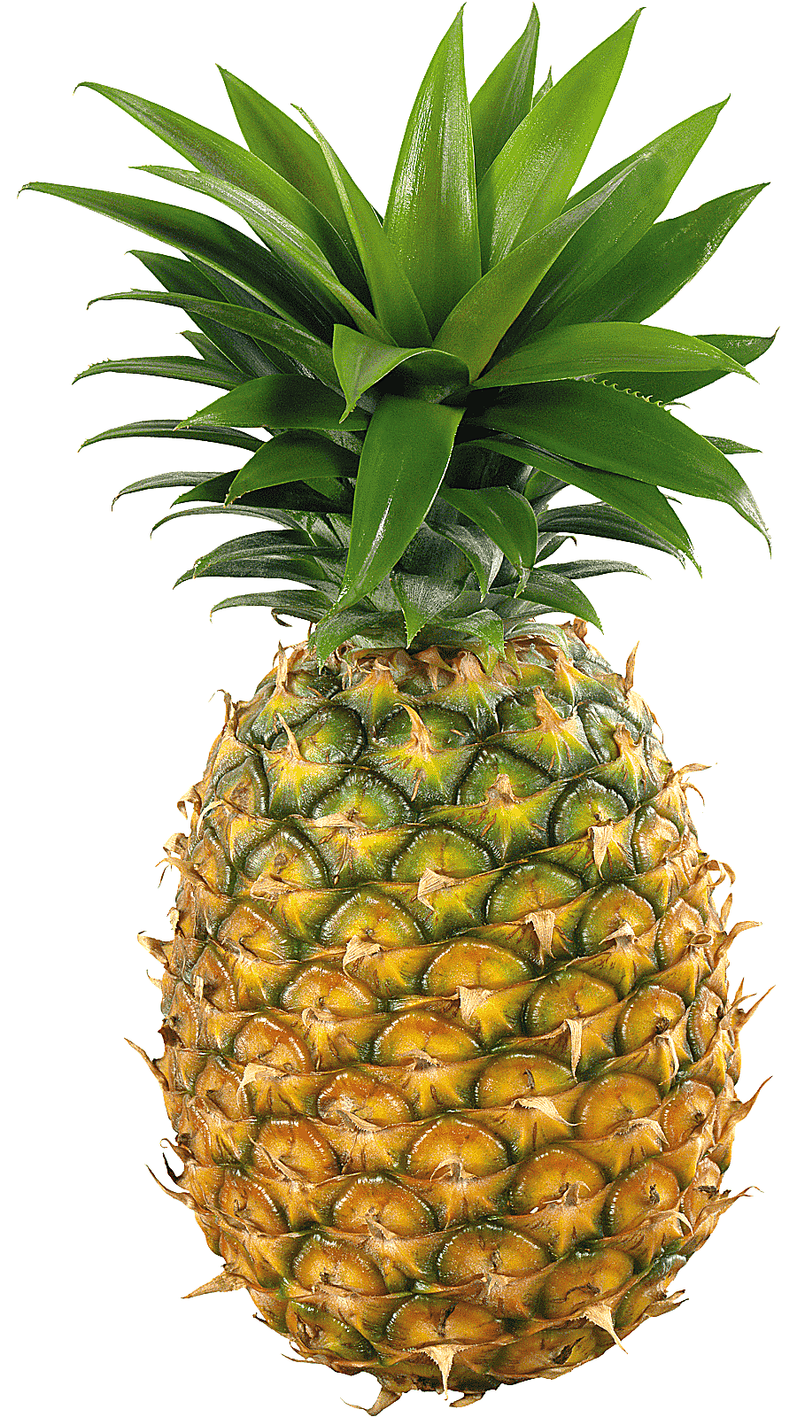 png clipart juice smoothie milkshake pineapple graphy juice food tropical fruit