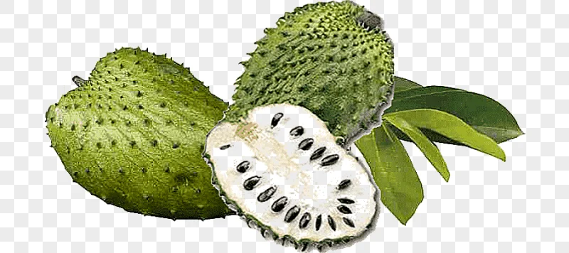 png clipart juice soursop fruit jamaican cuisine colombian cuisine juice food tropical fru