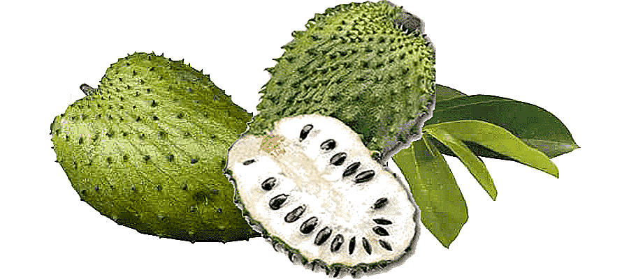png clipart juice soursop fruit jamaican cuisine colombian cuisine juice food tropical fru
