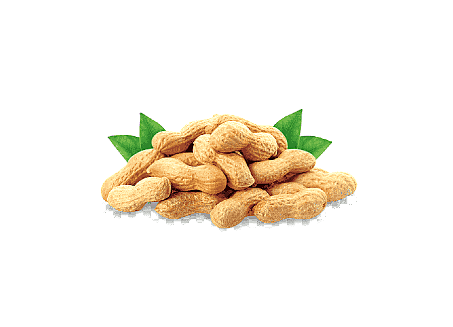 png clipart juice thai fried rice peanut oil juice food peanut