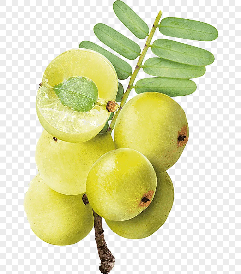 png clipart key lime indian gooseberry juice persian lime juice natural foods food