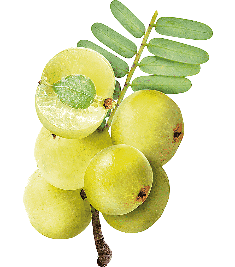 png clipart key lime indian gooseberry juice persian lime juice natural foods food