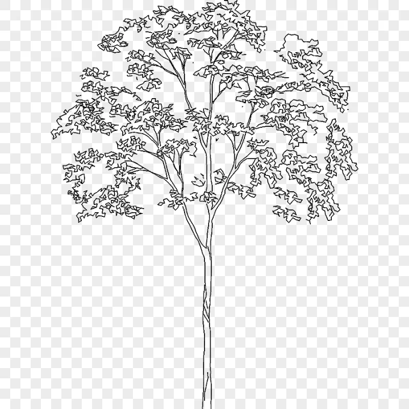 png clipart landscape architecture drawing dwg tree tree leaf landscape