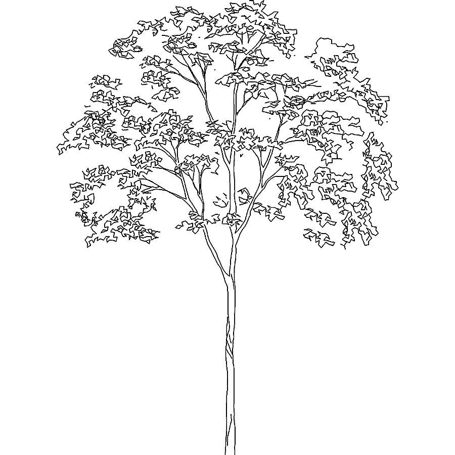 png clipart landscape architecture drawing dwg tree tree leaf landscape