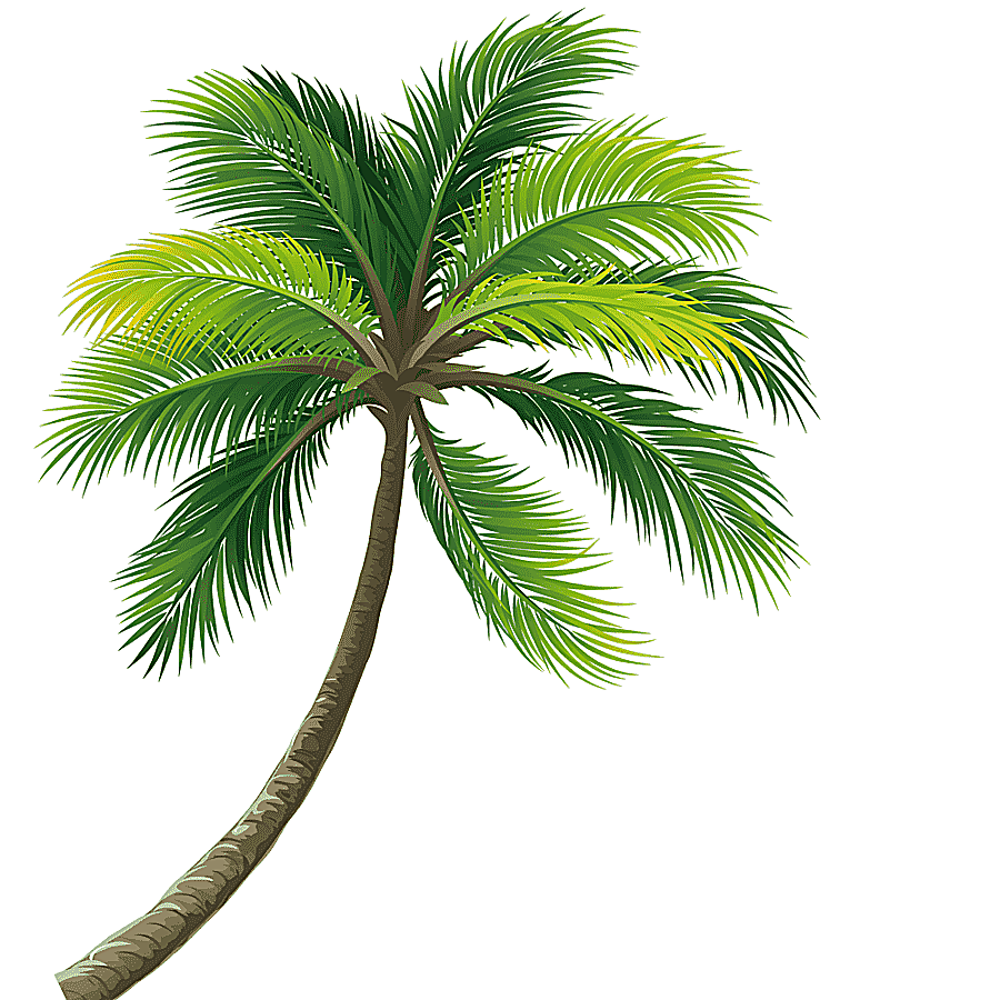 png clipart lush coconut trees coconut tree trunk