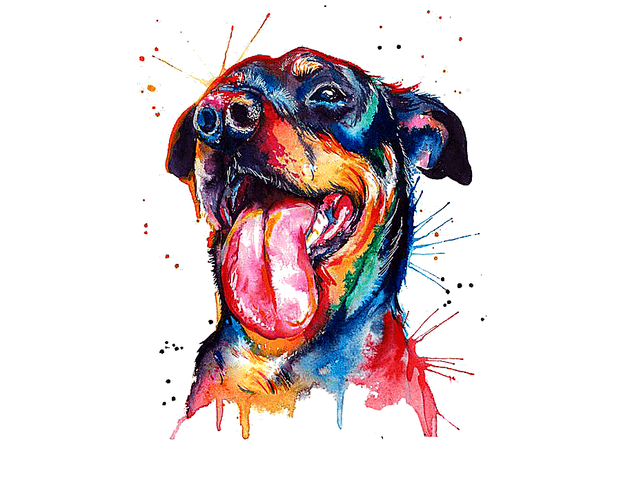 png clipart mahogany rottweiler painting watercolor puppy watercolor painting watercolor l
