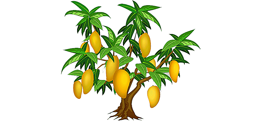 png clipart mango tree mango tree decoration
