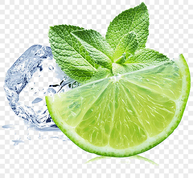 png clipart mojito lemonade juice lime mojito natural foods food