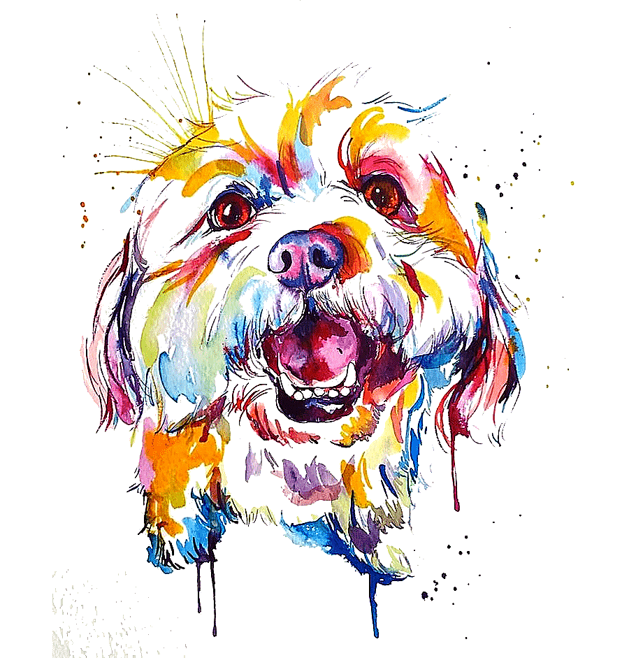png clipart multicolored dog face illustration dog breed watercolor painting border collie