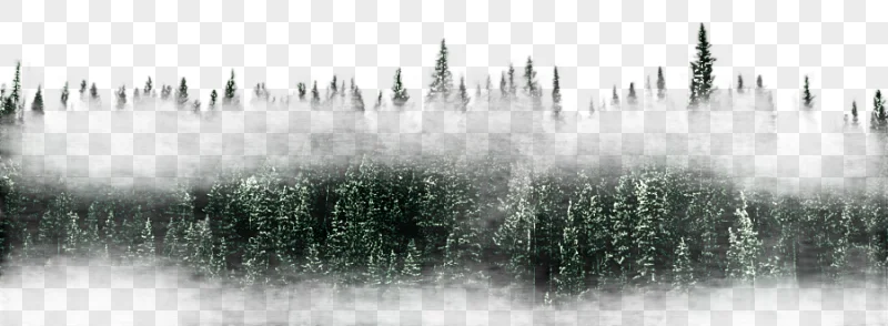 png clipart nature graphy of pine trees