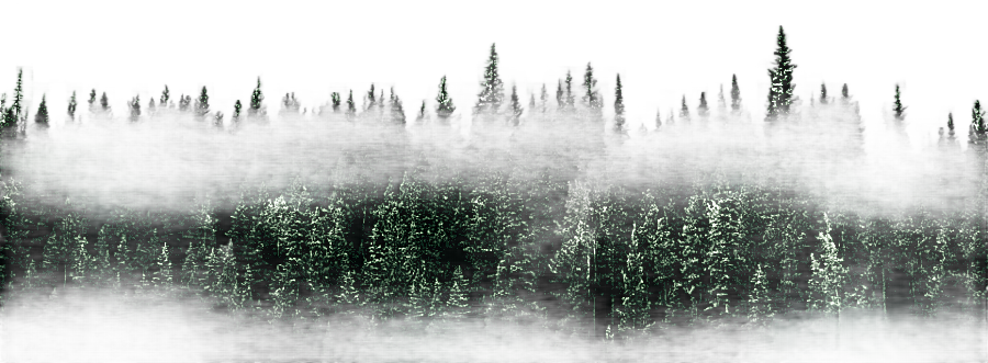 png clipart nature graphy of pine trees