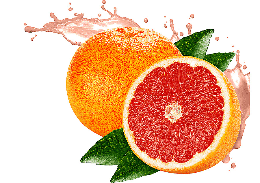 png clipart orange fruit illustration grapefruit juice grapefruit juice pomelo lemon grape